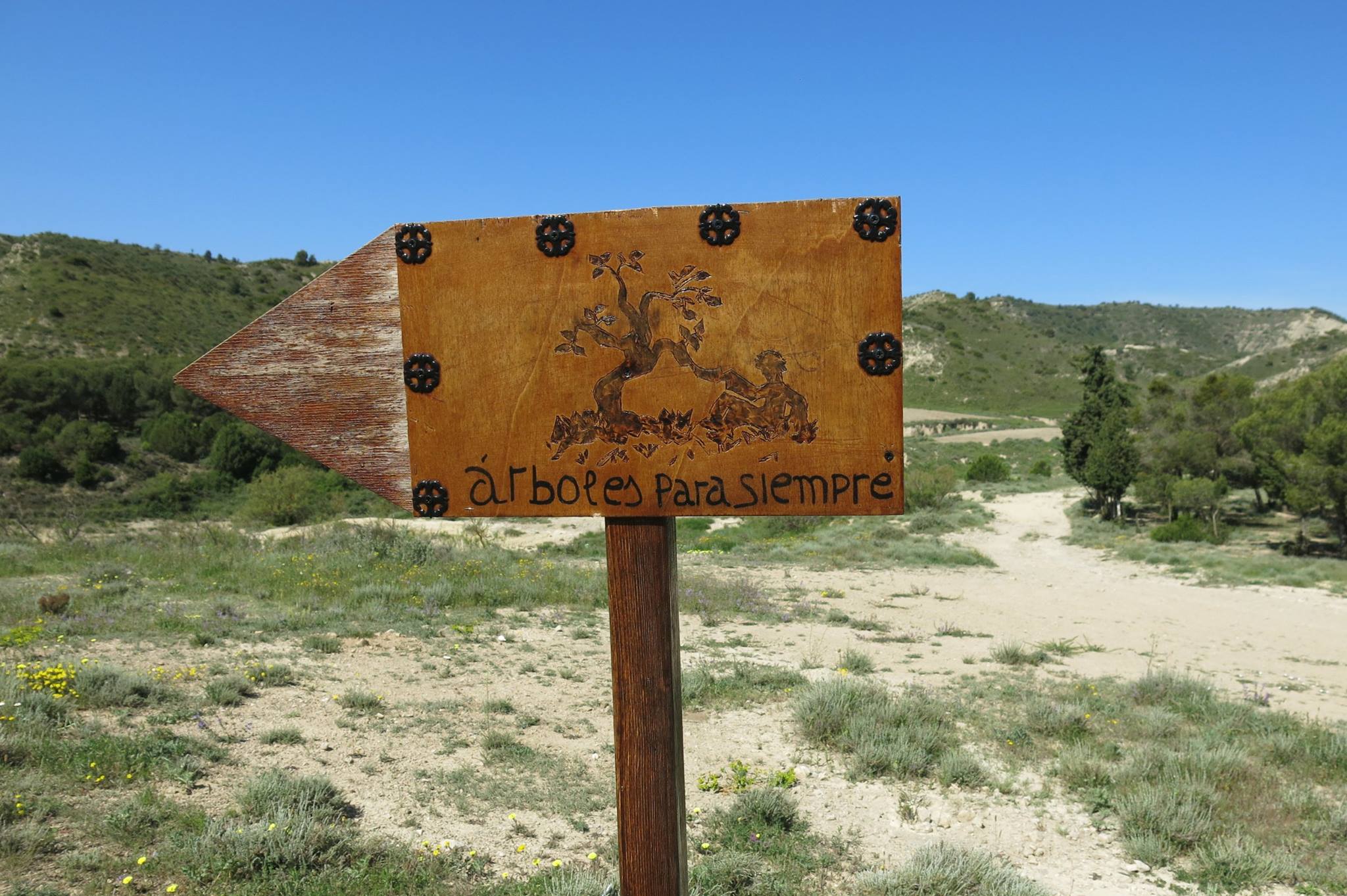 14195202_709836432496749_8416784025844228351_o