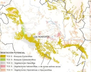 Vegetación potencial