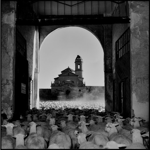 cartuja-monegros-1-pablo-otin