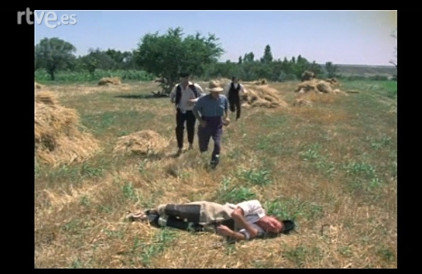 Tarántula sariñena 2