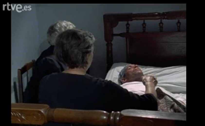 Tarántula sariñena 3