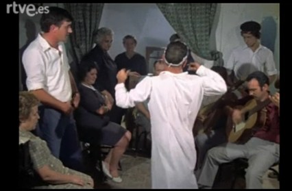 Tarántula sariñena