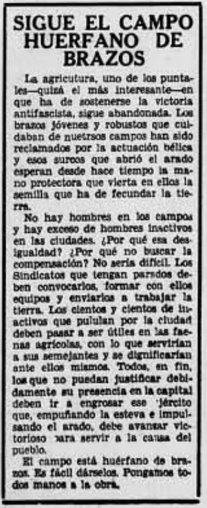 Campo huerfano de brazos SO 010737