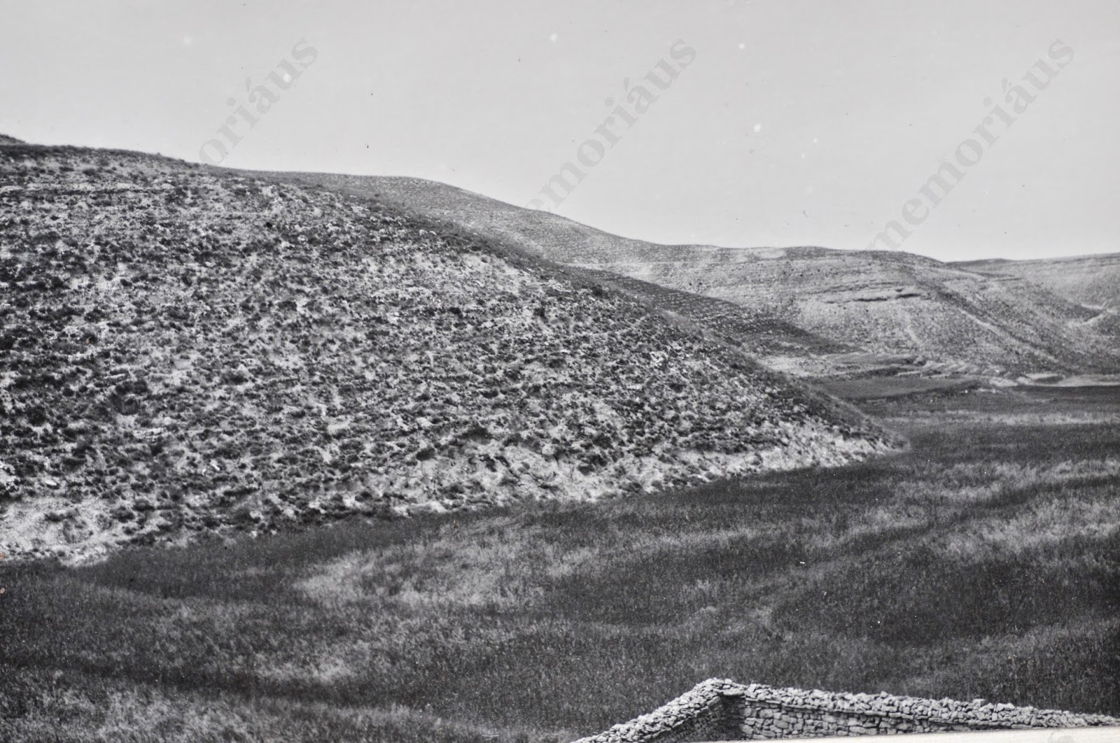 El Pucero de Alcubierrre