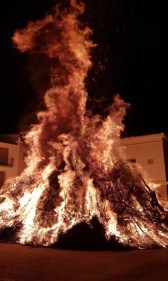 Mª Jesús Sancho 4.jpg