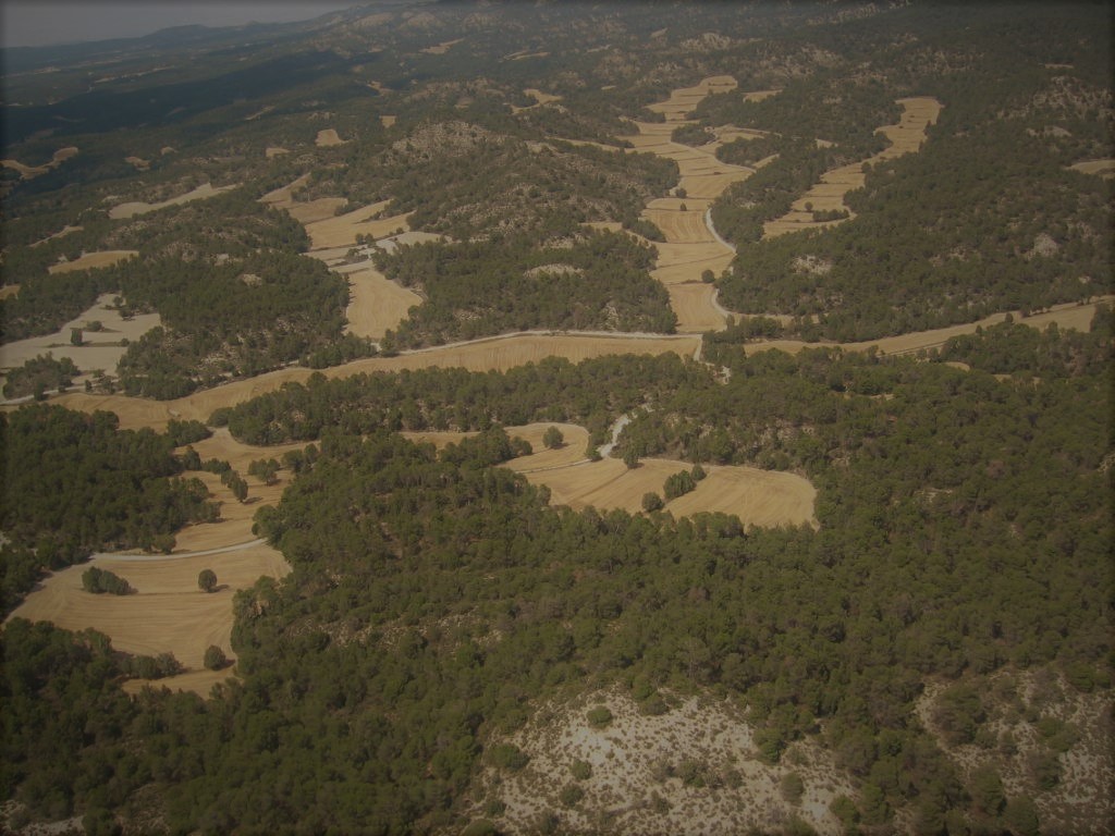 Sierra Alcubierre (2).jpg