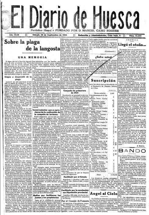 Plaga Langosta Diario Huesca