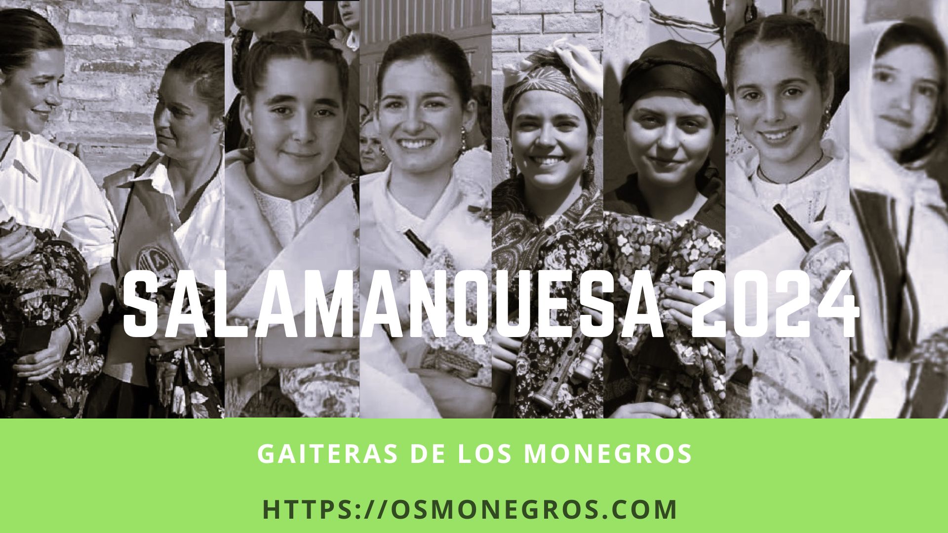 Salamanquesa 2024 gaiteras monegros
